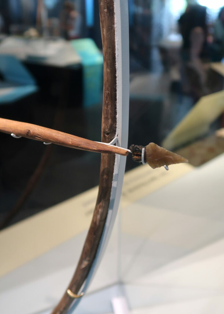 [Conférence] les Jeudis du musée 🏹