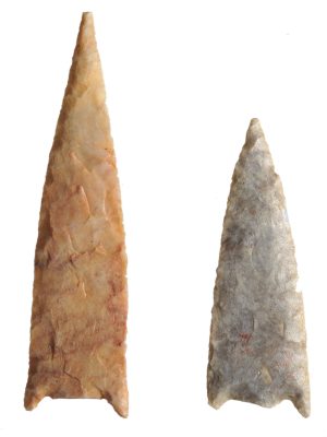 Conférence les Vendredi ! du musée